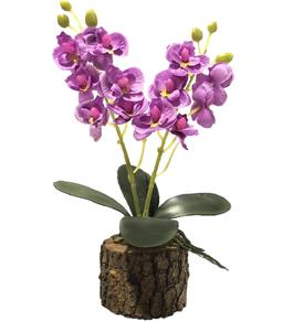 Yapay Çiçek Orkide Doğal Kütük Saksı da Hediyelik LİLA  25cm