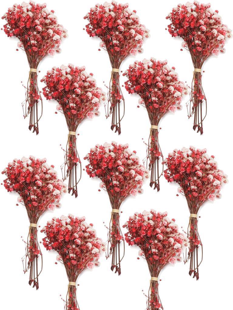 10lu Set Kuru Çiçek Doğal KIRMIZI Cipso Şoklanmış Bozulmaz