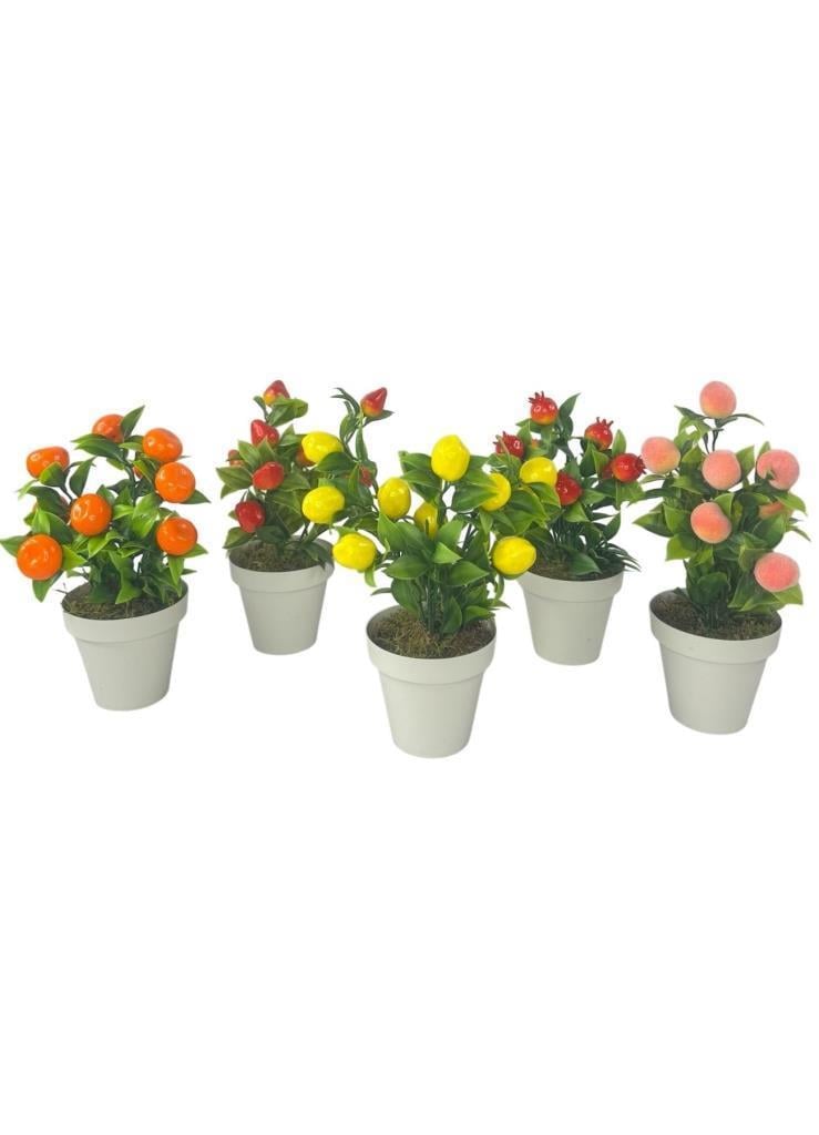 5li Set Yapay Çiçek Mini Saksıda Meyveler 20cm
