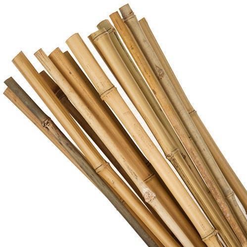 Bambu Sopası 240 cm 18-20mm Bambu Çubuğu 5 ADET 