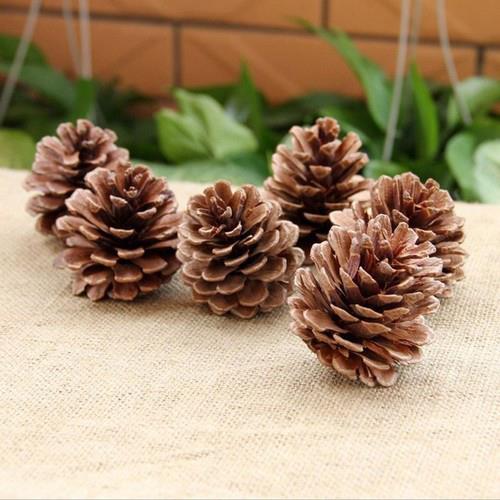 Kozalak Kurutulmuş Çam Kozalağı Natural 6 lı Paket