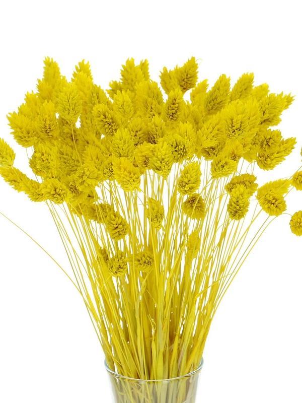 Kuru Çiçek Doğal Kuş Otu Sarı Renk 40-50gram 1. Kalite Şoklanmış Bozulmaz