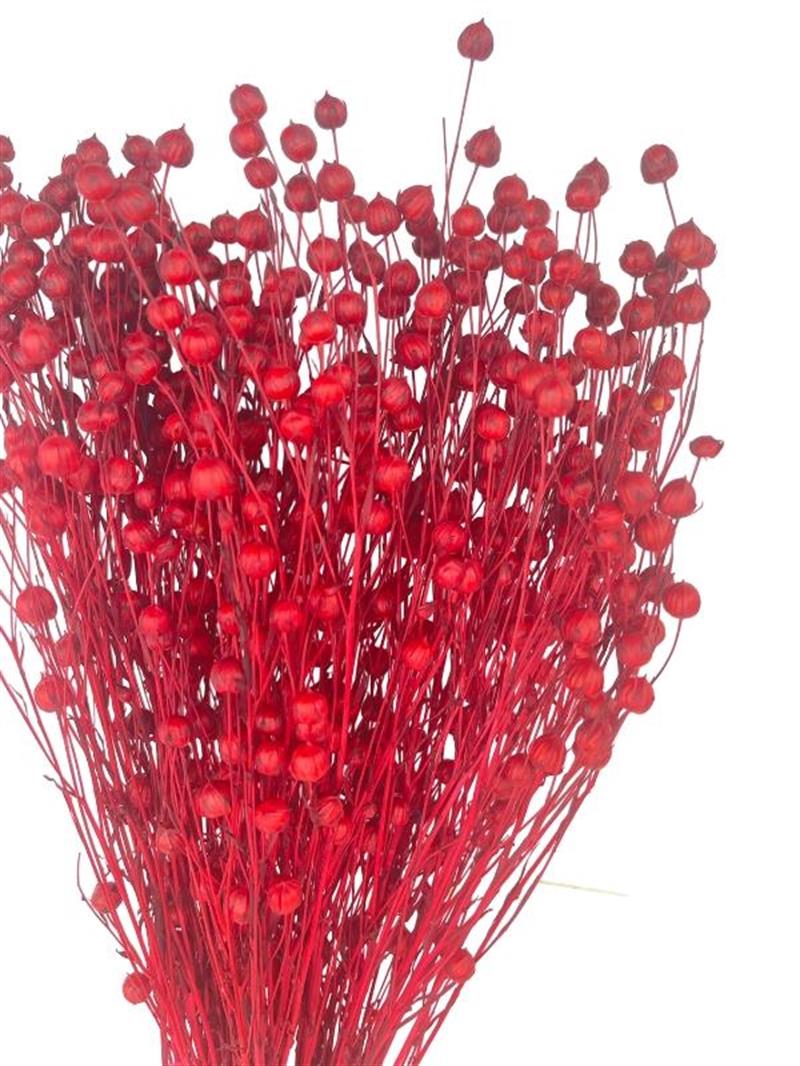 Kuru Çiçek Doğal Luna Otu Kırmızı Renk 40-50gram 1. Kalite Linum Keten Otu  Şoklanmış Bozulmaz