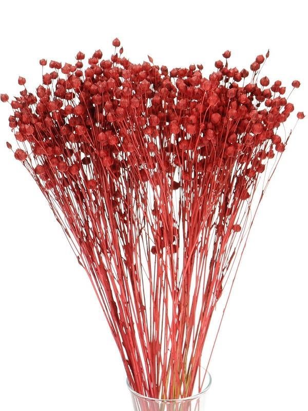 Kuru Çiçek Doğal Luna Otu Kırmızı Renk 40-50gram 1. Kalite Linum Keten Otu Şoklanmış Bozulmaz