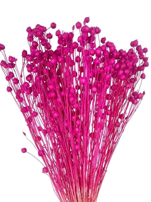 Kuru Çiçek Doğal Luna Otu Koyu Pembe Renk 40-50gram 1. Kalite Linum Keten Otu Şoklanmış Bozulmaz