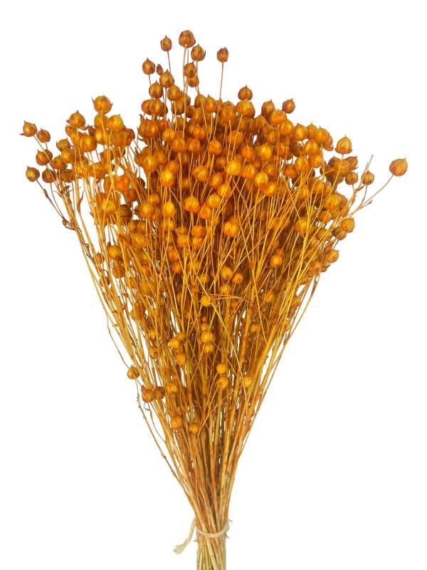 Kuru Çiçek Doğal Luna Otu Turuncu Somon Renk 40-50gram 1. Kalite Linum Keten Otu Şoklanmış Bozulmaz