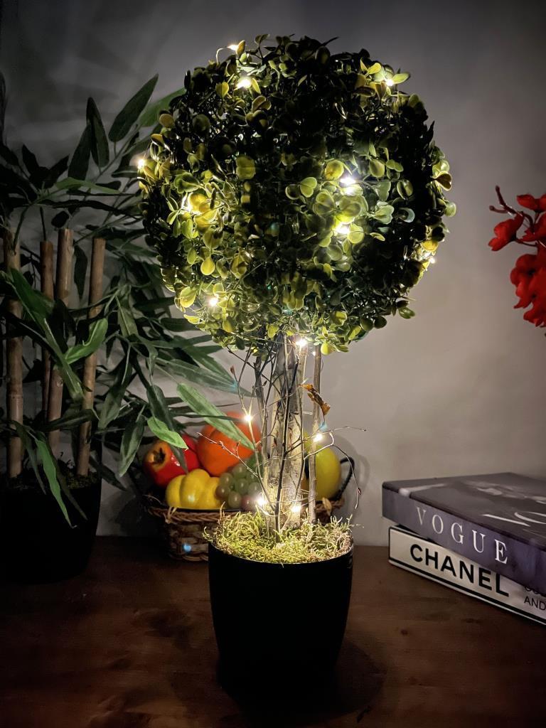 Led Işıklı Şimşir Top Yılbaşı Ağacı Tek Toplu 23cmx45cm Siyah Saksılı