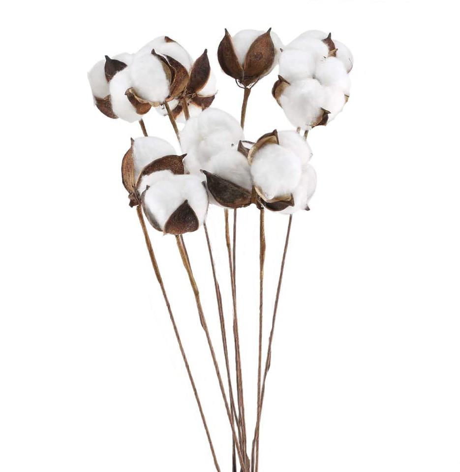 Pamuk Çiçeği Kuru Çiçek 5 Adet Tek Dal Yapay Çiçek 