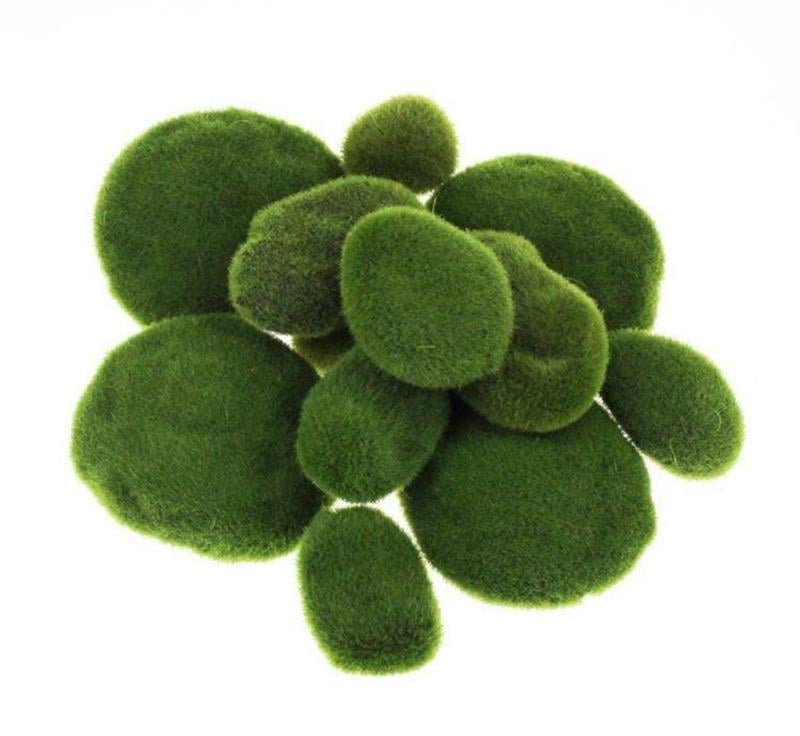 Taş Yosun Teraryum Ve Akvaryum Dekoru 10lu Paket