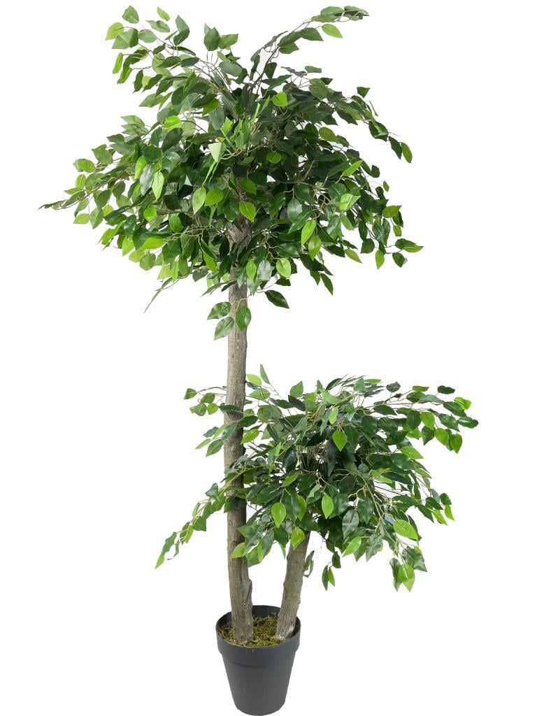 Yapay Ağaç 2 Katlı Benjamin Siyah Plastik Saksıda 190 cm 1.Kalite Yapay Çiçek Dekoru