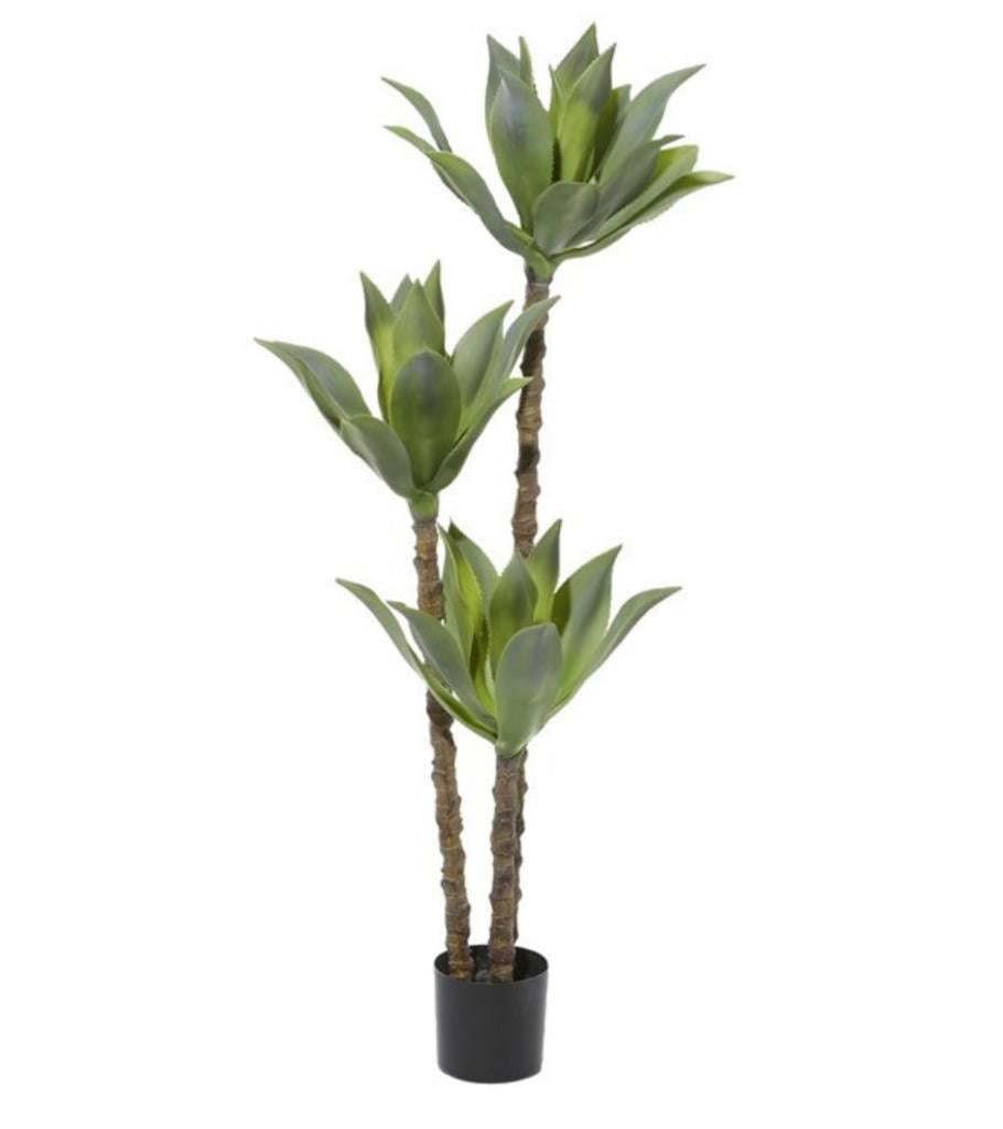 Yapay Ağaç Agave Ağacı 3Gövdeli 160 cm Premium Kalite