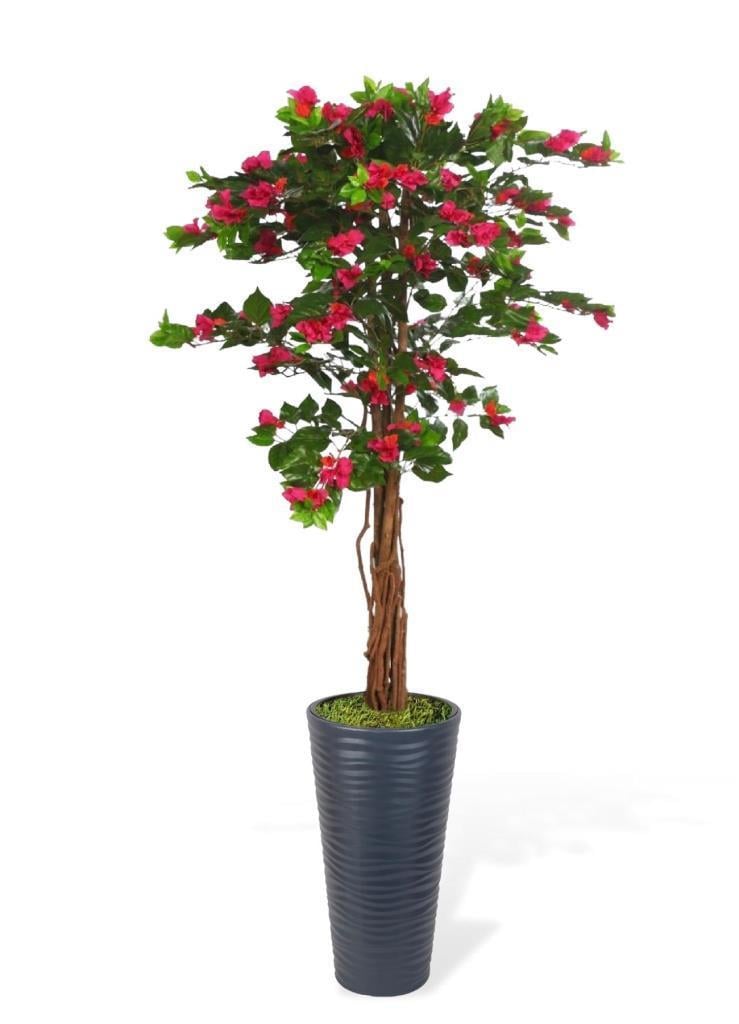 Yapay Ağaç Antrasit 57cm Kumsal Vazoda Begonvil Ağacı Fuşya Bodrum Çiçeği 180cm