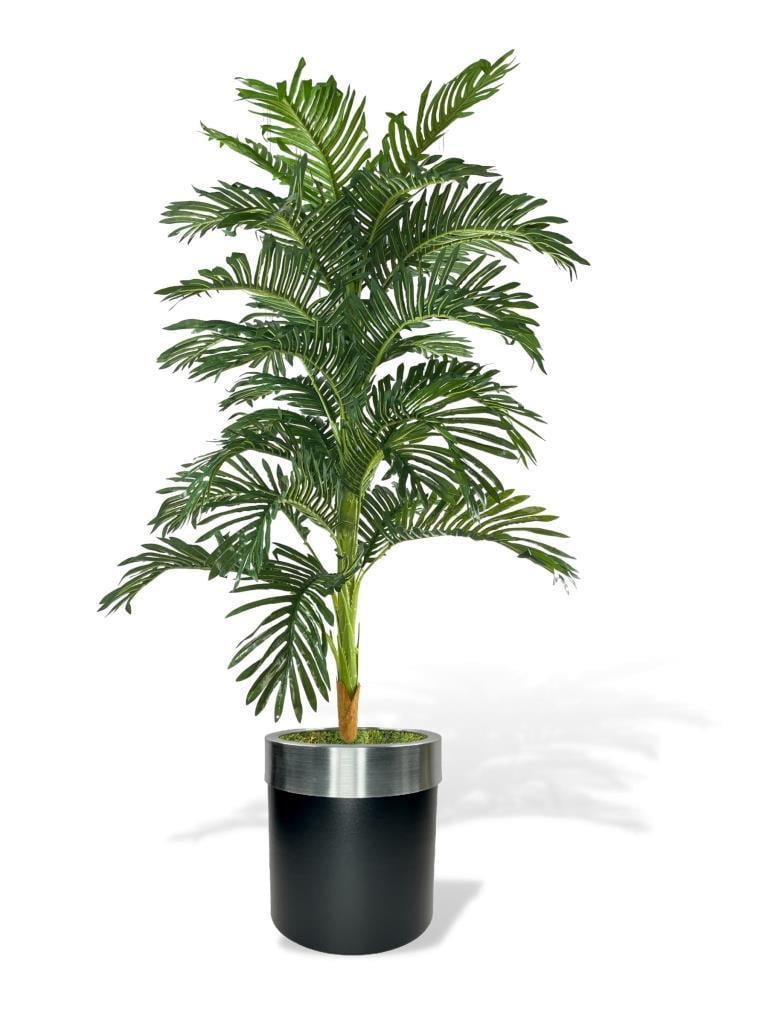 Yapay Ağaç Areka 150cm Gür Yapraklı Siyah Gümüş Paslanmaz Saksıda