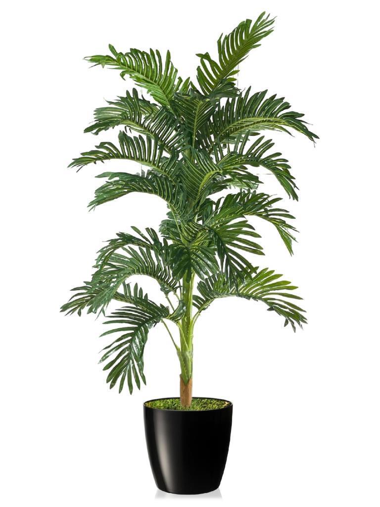 Yapay Ağaç Areka 150cm Gür Yapraklı Siyah Plastik Yakut Saksıda