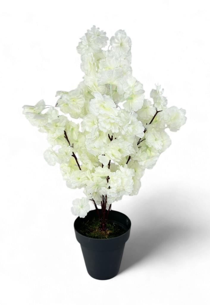 Yapay Ağaç Bahardalı Ağacı Beyaz Japon Kiraz Çiçeği Sakura Çiçeği 70cm Siyah Plastik Saksılı
