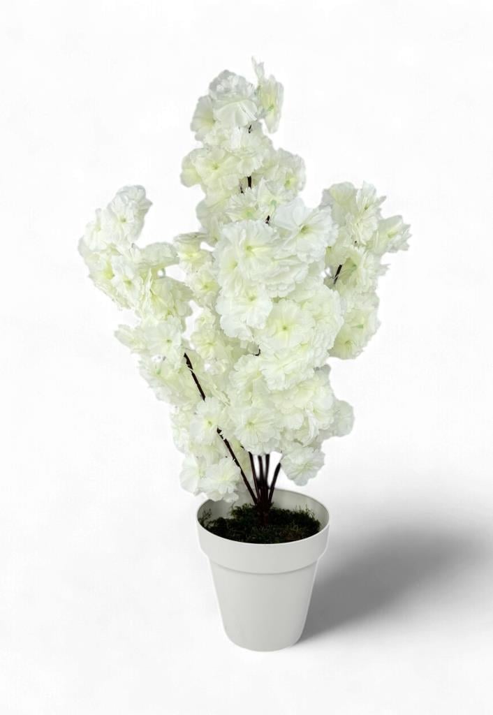 Yapay Ağaç Bahardalı Ağacı Beyaz Japon Kiraz Çiçeği Sakura Çiçeği 70cm Beyaz Plastik Saksılı