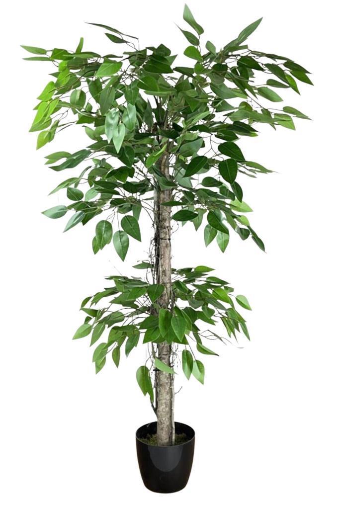 Yapay Ağaç Benjamin 2 Gövdeli Çalılı 2 Katlı 120x70cm Siyah Plastik Saksılı