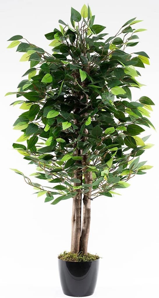 Yapay Ağaç Benjamin Yeşil 2 Gövdeli 110*70cm Siyah Plastik Saksılı
