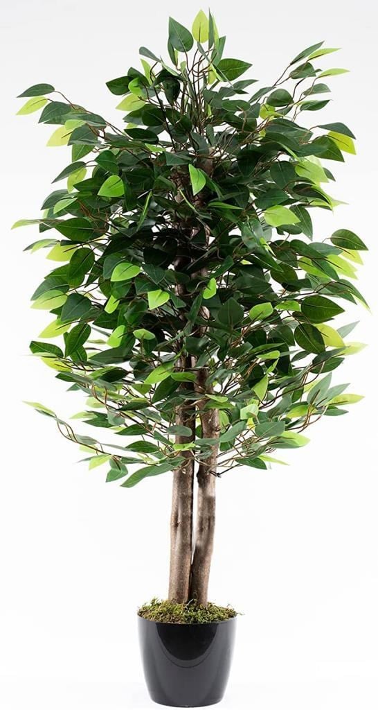 Yapay Ağaç Benjamin Yeşil 2 Gövdeli 110*70cm Siyah Plastik Saksılı