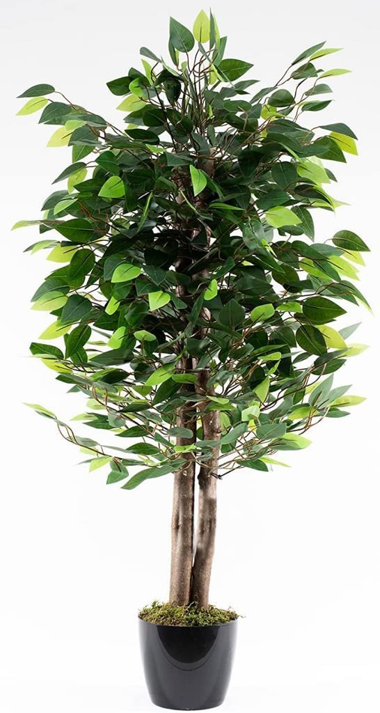Yapay Ağaç Benjamin Yeşil 2 Gövdeli 110*70cm Siyah Plastik Saksılı
