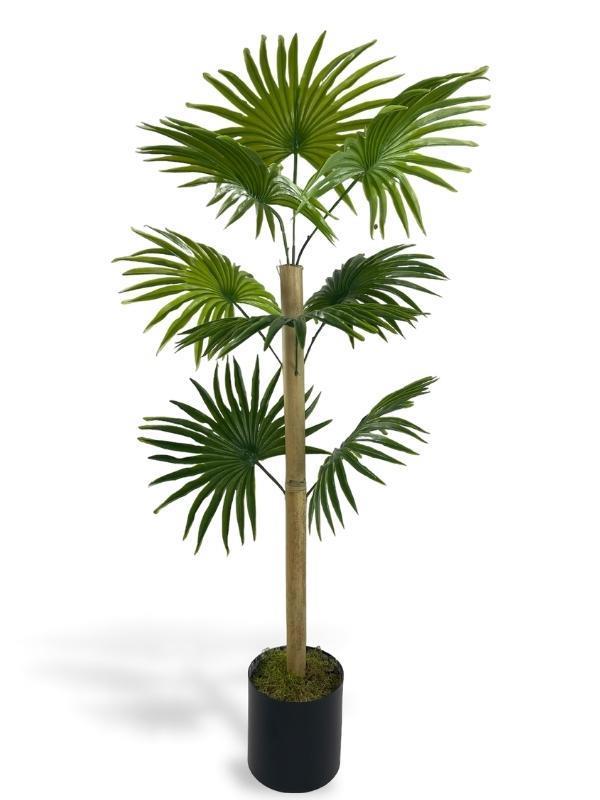 Yapay Ağaç Fanpalm 8Yaprak 85*45cm Yelpaze Palmiye Siyah Aleminyum Saksı