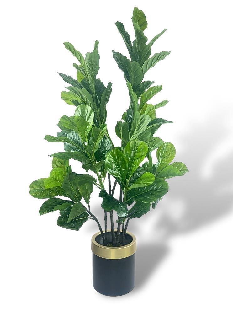 Yapay Ağaç Keman Yapraklı Kavuçuk Yeşil Salon Bitkisi Siyah Gold Galvaniz Saksıda 140cm