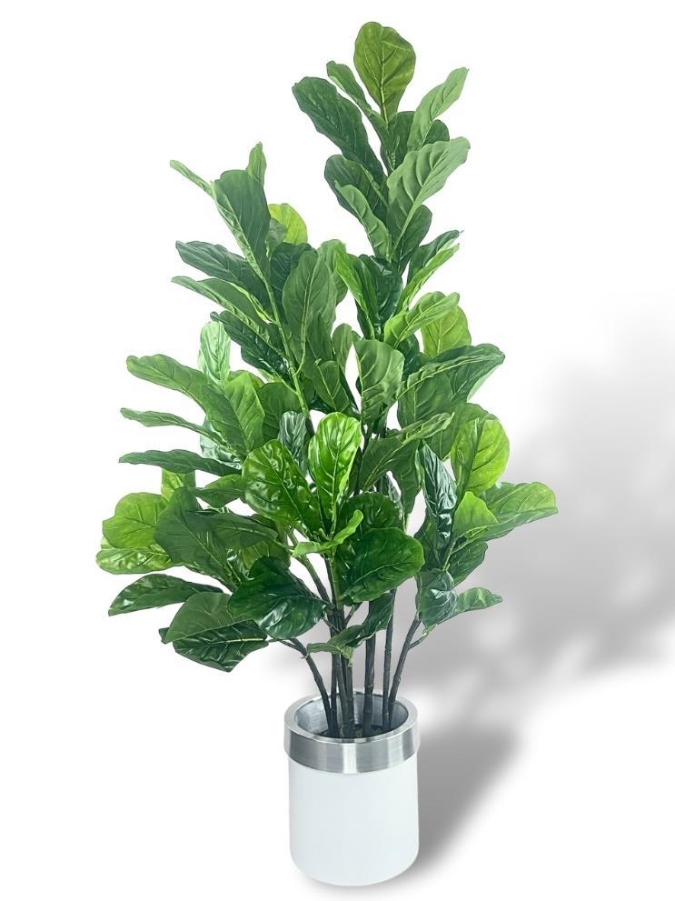 Yapay Ağaç Keman Yapraklı Kavuçuk Yeşil Salon Bitkisi Beyaz Gümüş Galvaniz Saksıda 140cm
