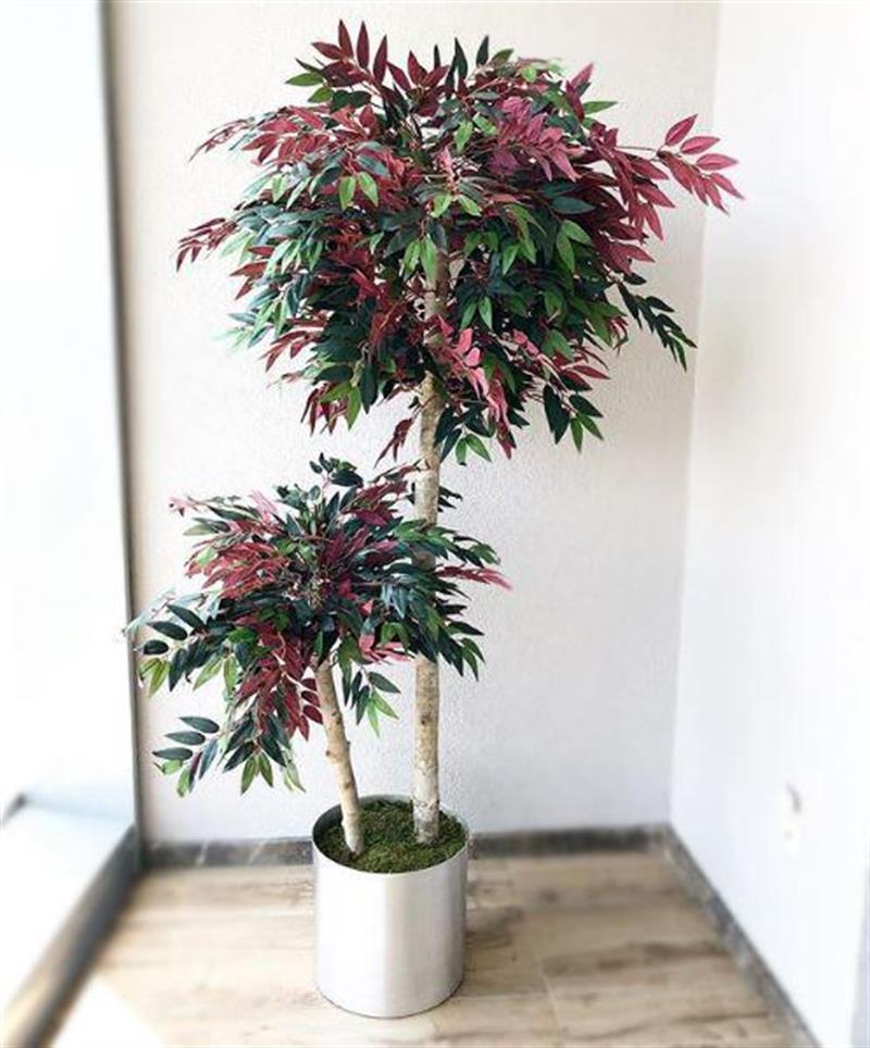 Yapay Ağaç Kızıl Benjamin 180cm 1.Kalite Yapay Çiçek Dekoru