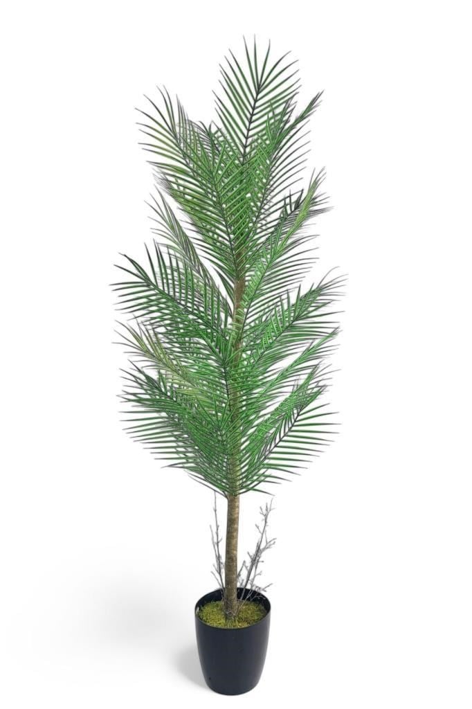 Yapay Ağaç Palmiye 155*50Cm 30Yaprak Areka Ağacı Siyah Saksıda Tek Gövdeli