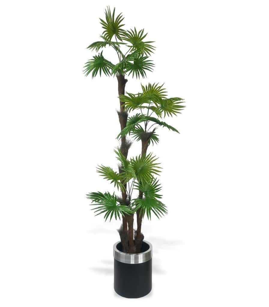 Yapay Ağaç Palmiye Fanpalm 3Katlı 24Yaprak Gümüş Kemerli Siyah Saksıda 165*65cm