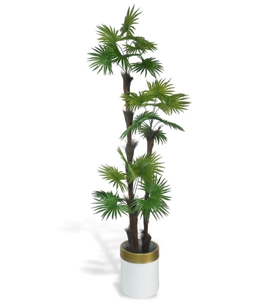 Yapay Ağaç Palmiye Fanpalm 3Katlı 24Yaprak Gold Kemerli Beyaz Saksıda 165*65cm