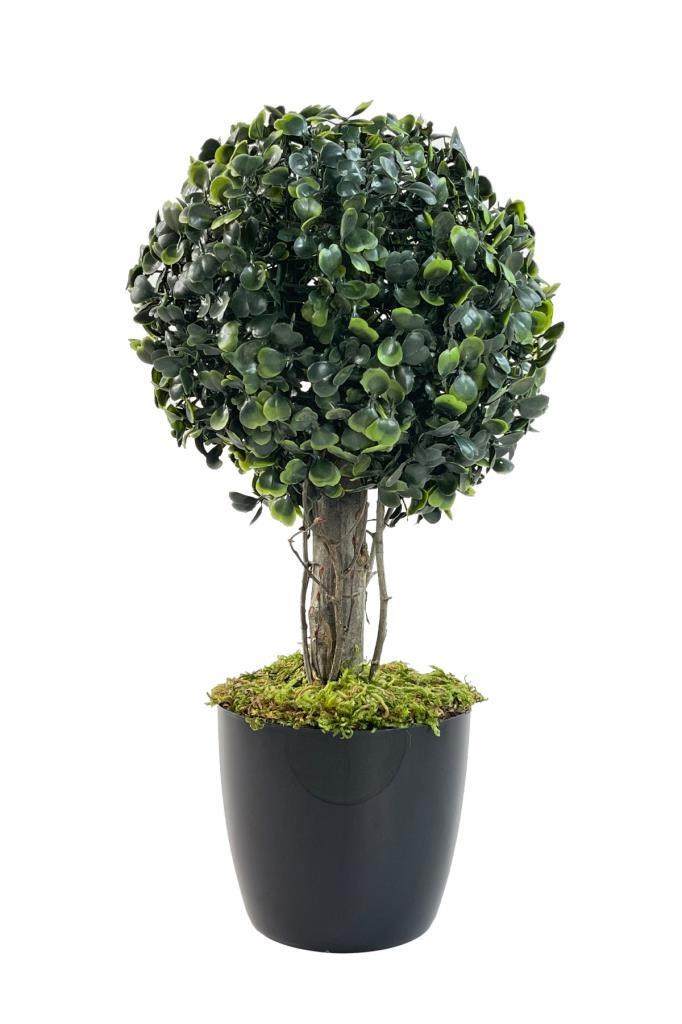 Yapay Ağaç Şimşir Top Tek Toplu 18x35cm Siyah Saksılı 