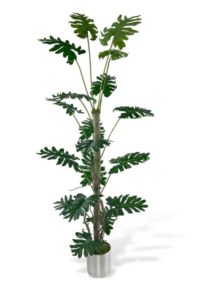 Yapay Ağaç Syngonium plants 18 Dallı Çalılı Gövde 120x60cm Gümüş Aleminyum Saksıda