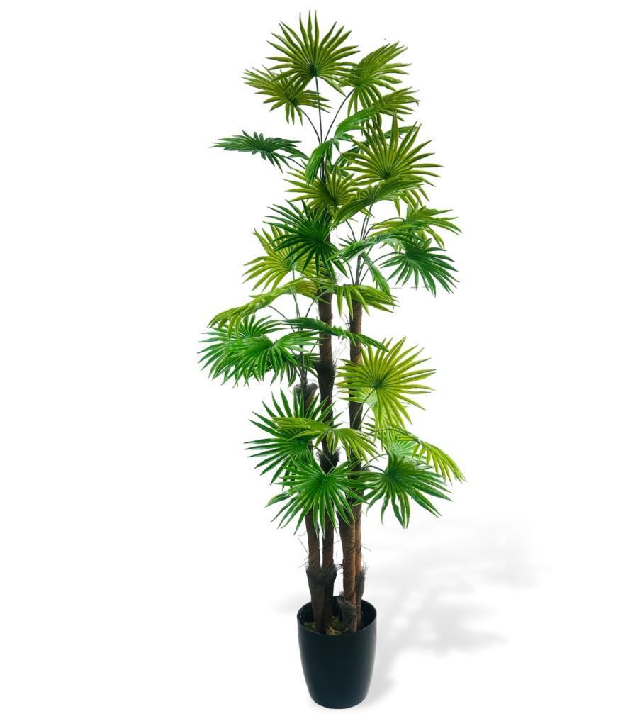 Yapay Ağaç Yelpaze Palmiye 4Katlı Fanpalm 32 Yaprak 170*65cm