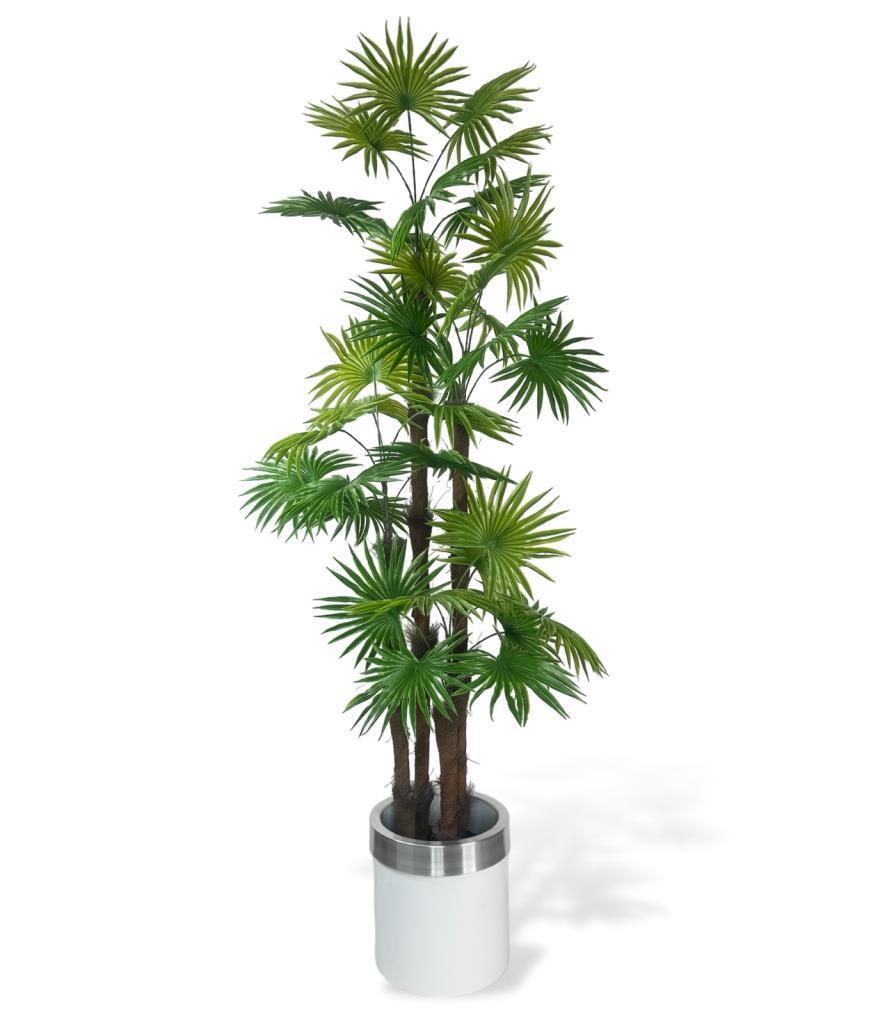 Yapay Ağaç Yelpaze Palmiye 4Katlı Fanpalm 32 Yaprak Gümüş Kemerli Beyaz Saksıda 170*65cm