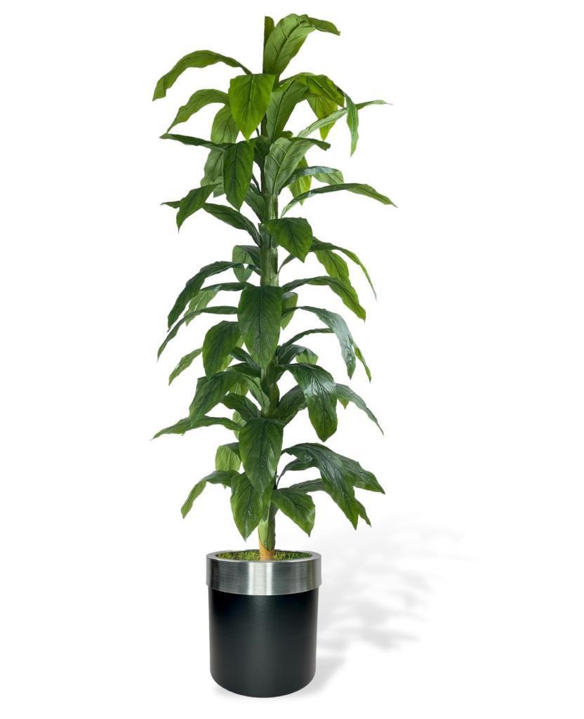 Yapay Ağaç Yukka Dracena 180*70cm Galvaniz Gümüş Kemerli Siyah Saksıda Salon Çiçeği Yapay Çiçek