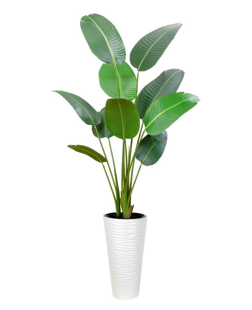 Yapay Ağacı Beyaz 57cm Uzun Kumsal Vazoda Muz Ağacı Yapay Starliçe 195cm 10 Yaprak