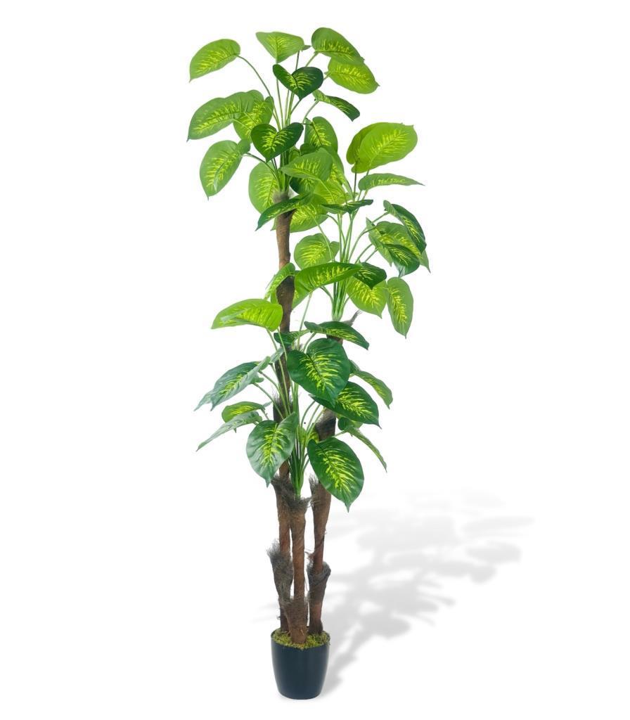 Yapay Çiçek Difenbahya Sarı Yeşil 3Katlı 190cm 54Yaprak Siyah Plastik Saksıda Yapay Bitki