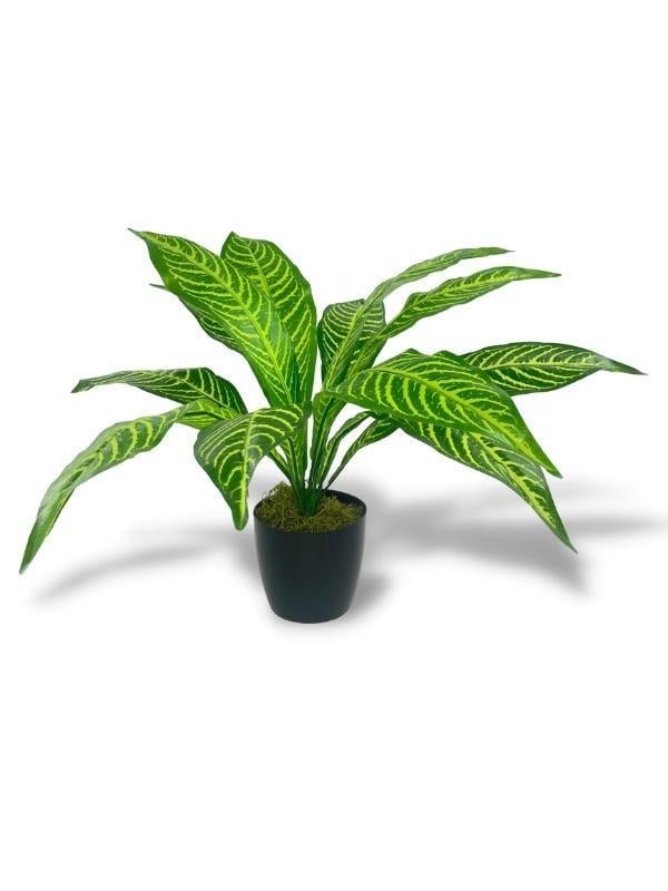 Yapay Çiçek Drecana Yukka 12yaprak Salon Çiçeği Plastik Siyah Saksılı Yapay Bitki