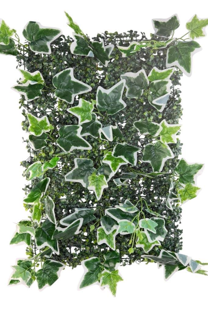 Yapay Çiçek Duvar Kaplama Panel YeşilBeyaz Sarmaşık Hedera Tabaka 40x60cm Dik Duvar Uygulama