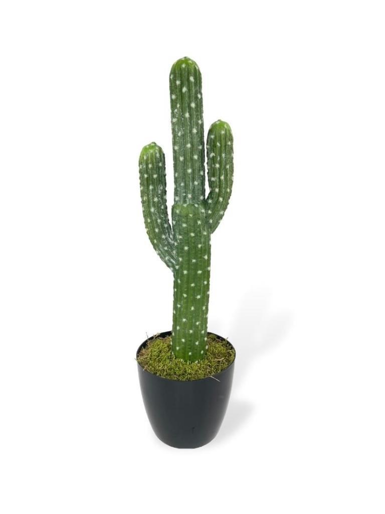 Yapay Çiçek Kaktüs Ağacı 3Kollu Siyah Saksıda 56*15cm sk4019