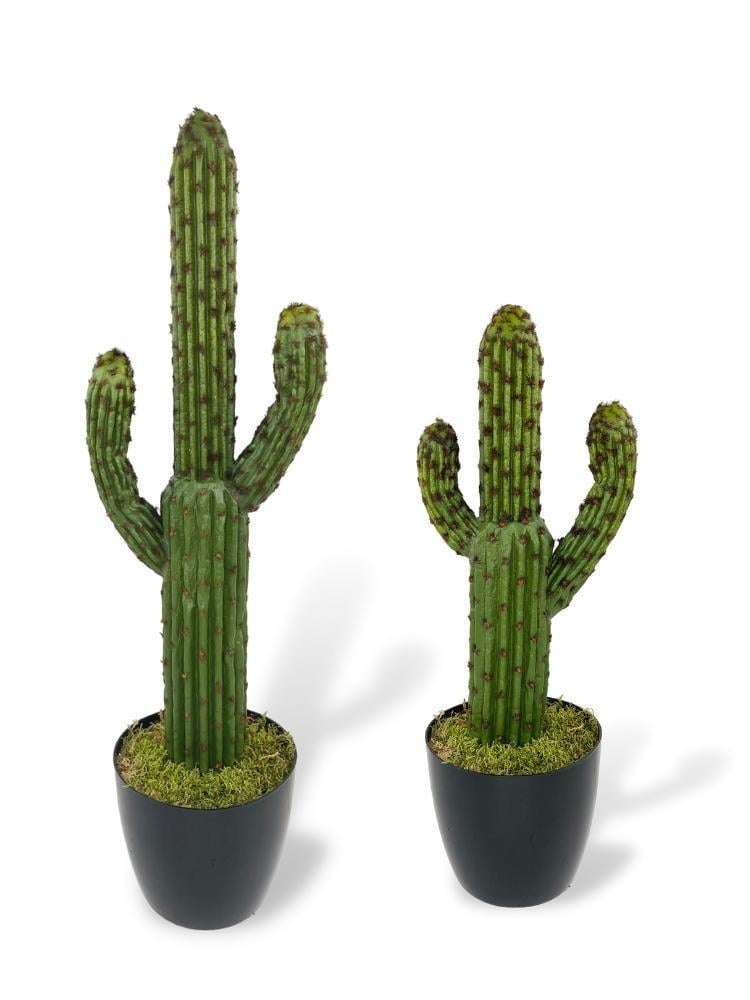 Yapay Çiçek Kaktüs Ağacı Koyuyeşil 2li Set 3Kollu Siyah Saksıda sk4022