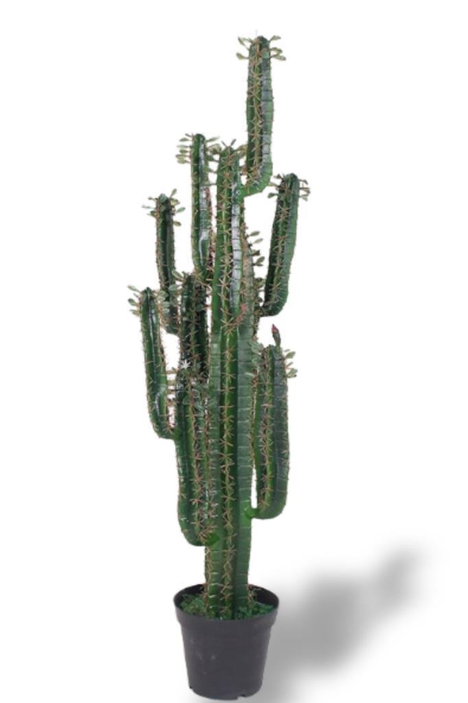 Yapay Çiçek Kaktüs Ağacı Siyah Saksıda 145*37cm 10 Kollu