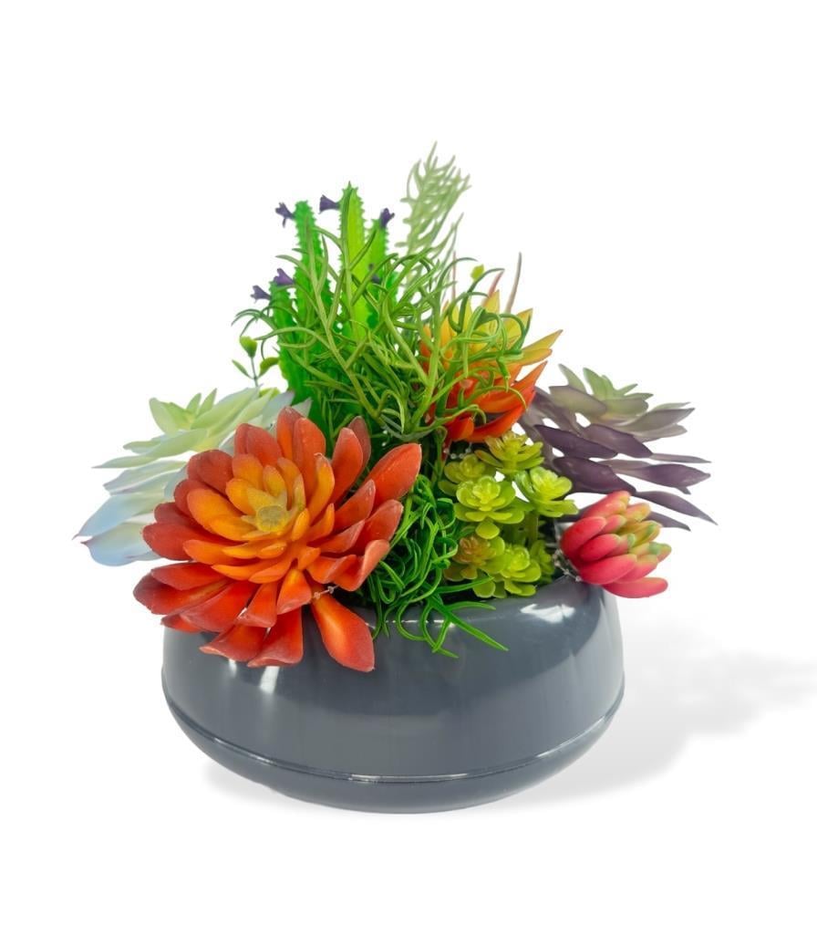 Yapay Çiçek Kaktüs Sukulent Aranjmanı Antrasit Renk Plastik Saksıda 10 adet Karışık Model Skulent