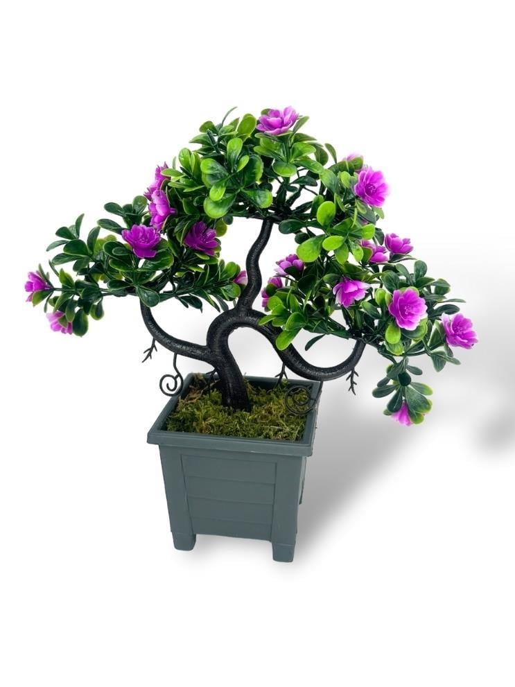holz bambus kaufen Bambus-Terrasse Spar-Set XL-Desaro – Bambuskontor main image 0