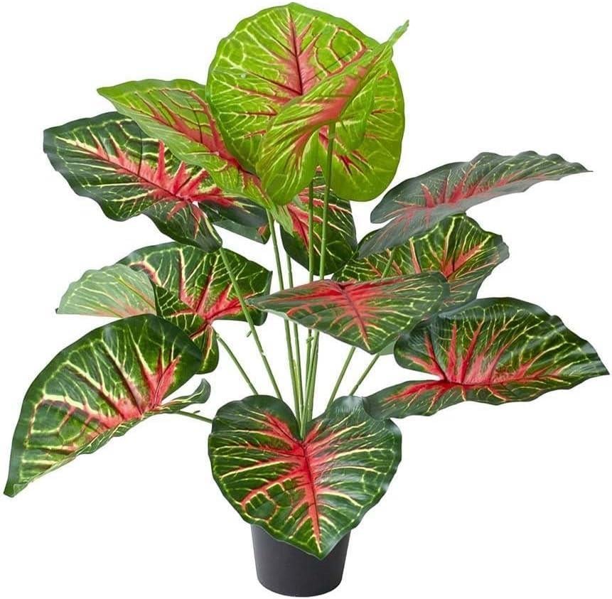 Yapay Çiçek Saksıda Tropik Kızıl Caladium 18 Dal 70 cm Salon Çiçeği Yapay Bitki