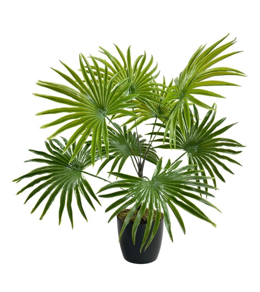 Yapay Çiçek Yelpaze Palmiye 8 Dal 50*40cm Salon Çiçeği Plastik Siyah Saksılı Yapay Bitki