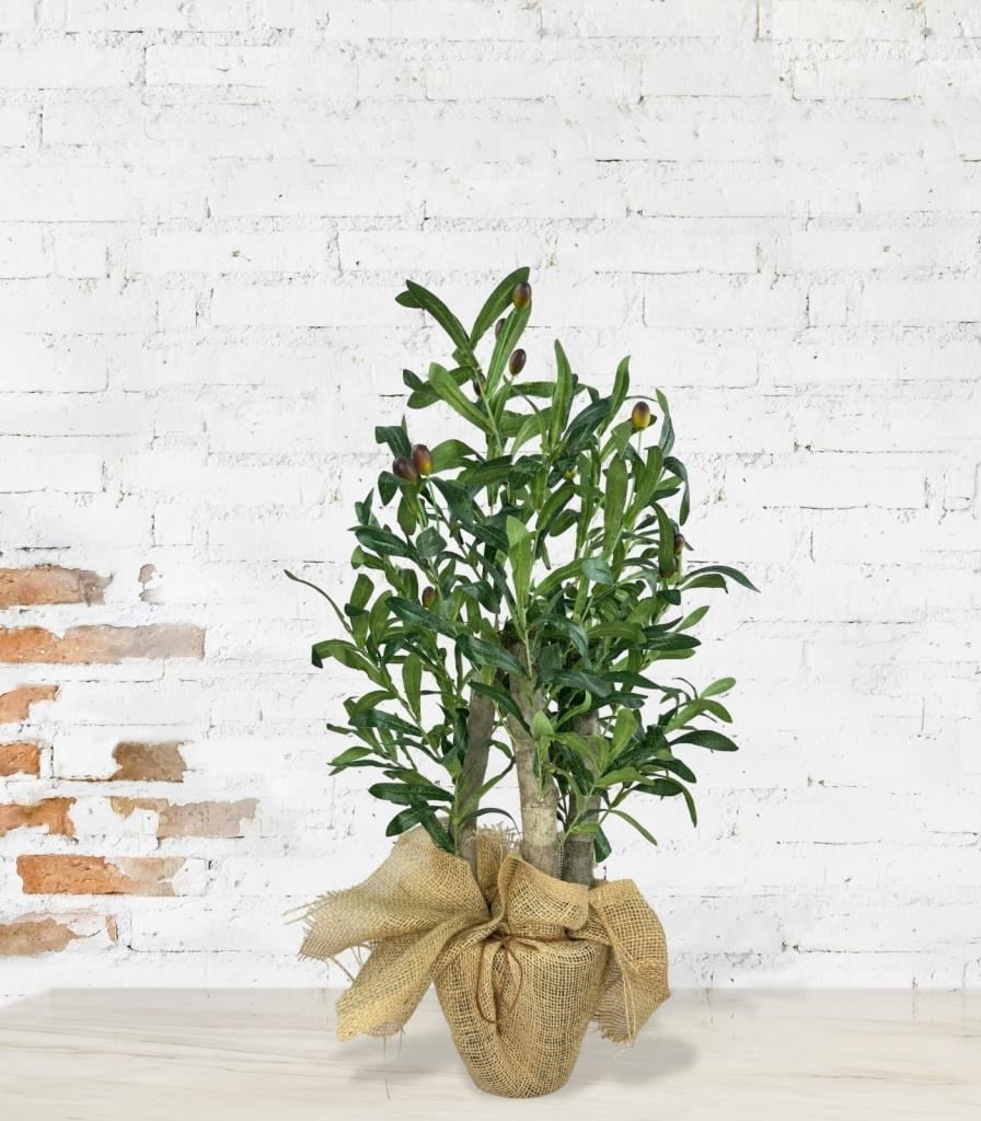 Yapay Çiçek Zeytin Ağacı 3 Gövdeli Plastik Siyah Saksıda 60cm Yapay Ağaç