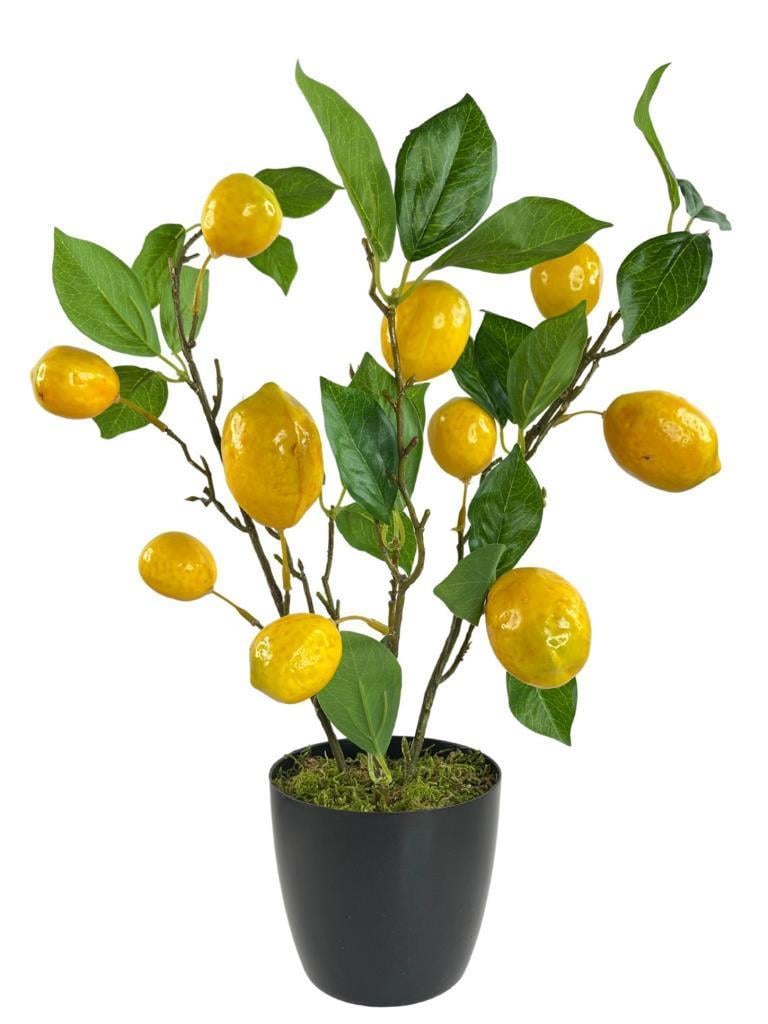 Yapay Limon Ağacı 40cm Gerçek Doku Siyah Plastik Saksılı Dekoratif Süs Çiçeği