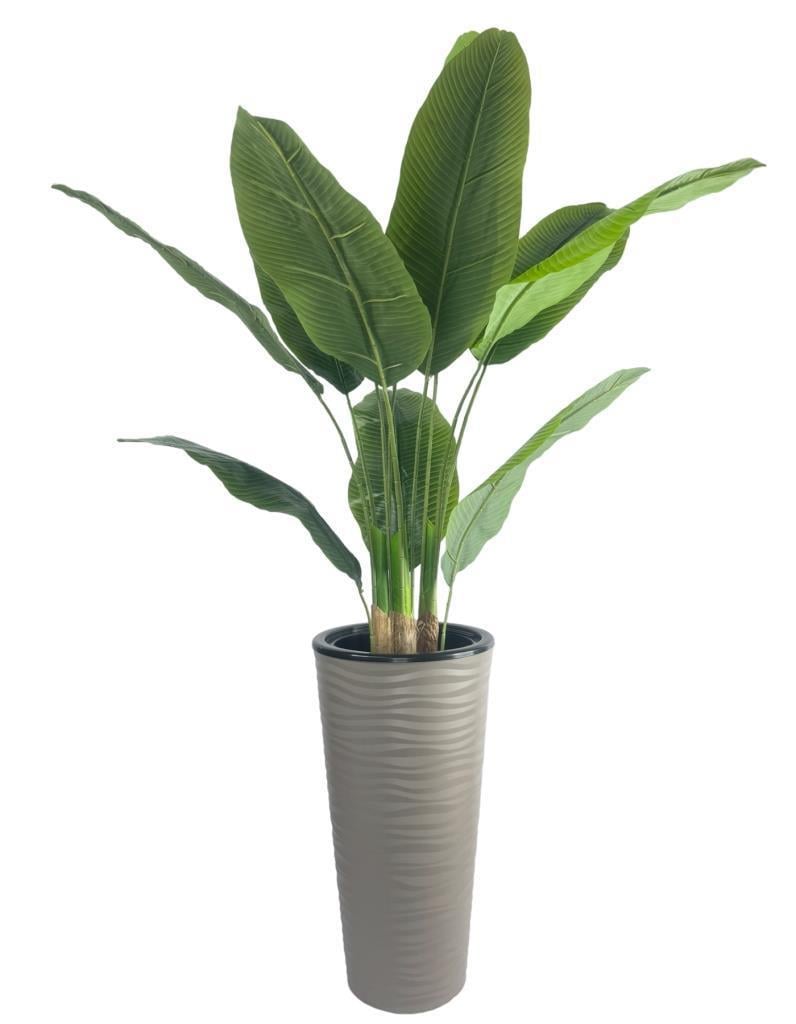 Yapay Starliçe Muz Ağacı Dore Kumsal Vazoda Muz Ağacı Yapay Starliçe 150cm 12 Yaprak